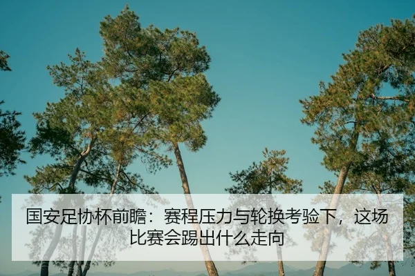 国安足协杯前瞻：赛程压力与轮换考验下，这场比赛会踢出什么走向